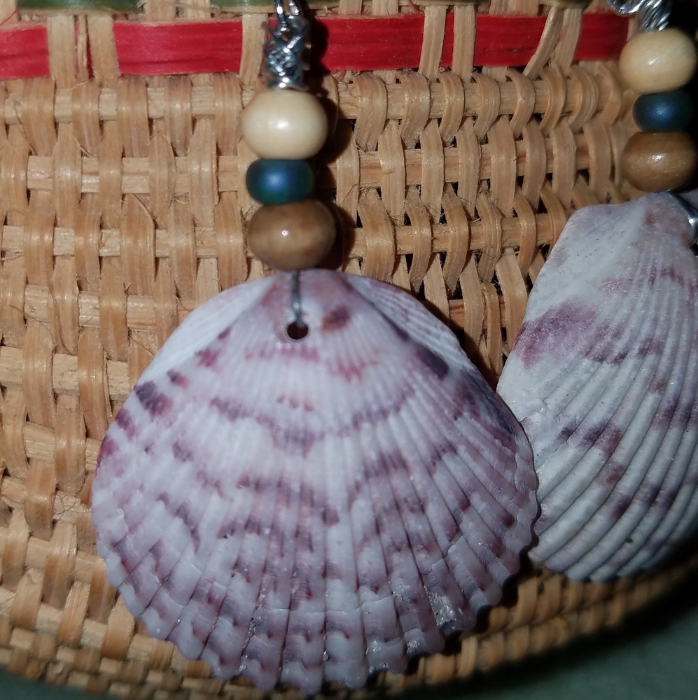 Calico Scallop Earrings